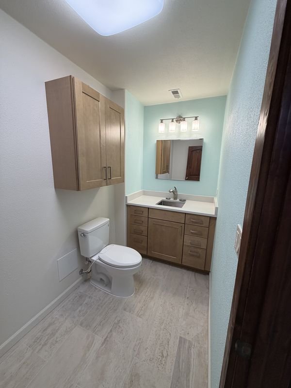The same basement bathroom finished: a wood-tone vanity and wall cabinet, framed mirror, three-light bar, toilet and plank flooring