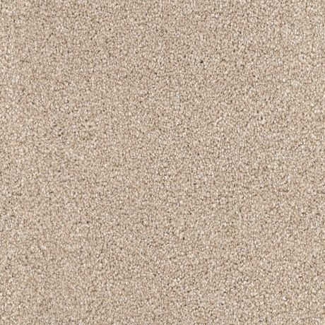Great Dane carpet by Dixie Home, shown in the mill&rsquo;s own photograph