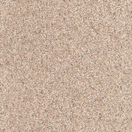 Husky carpet by Dixie Home, shown in the mill&rsquo;s own photograph