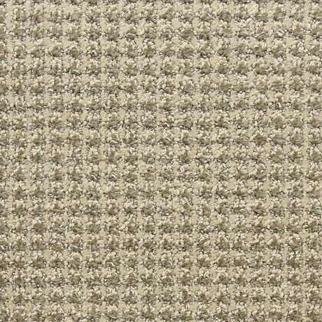 Alpha carpet by Masland, shown in the mill&rsquo;s own photograph