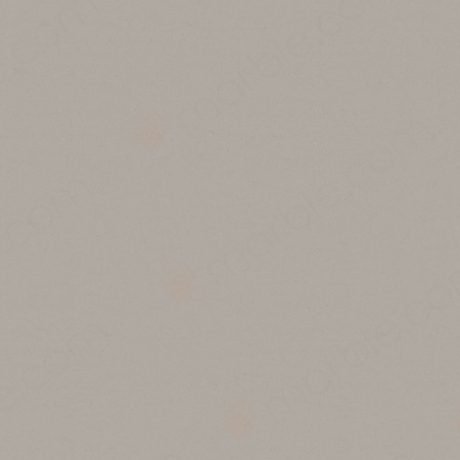 Raw Concrete quartz by Caesarstone, a warm-grey colorway