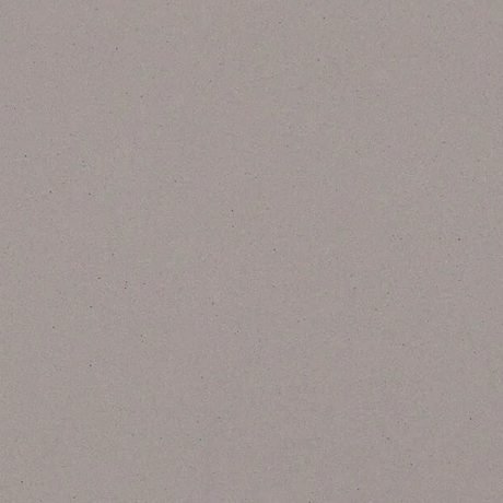 Sleek Concrete quartz by Caesarstone, a warm-grey colorway