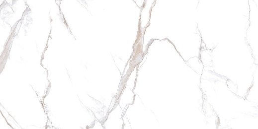 Calacatta Bronze Polished tile, 24x24