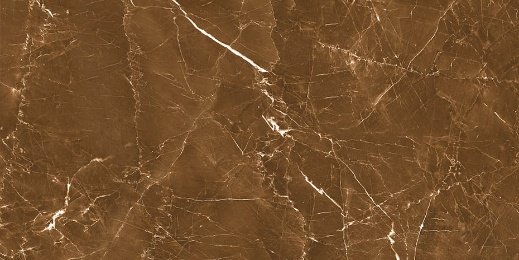 Grigio Brown Polished tile, 24x24
