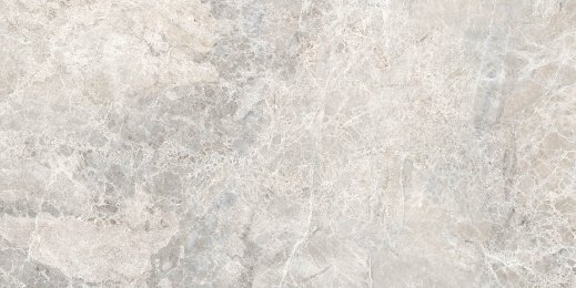 Lizard Grey Polished tile, 24x24