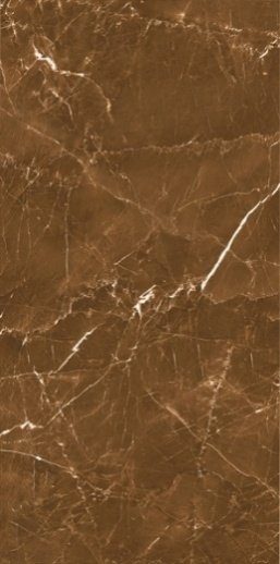 Grigio Brown Polished tile, 24x48