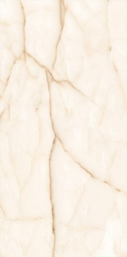 Onyx Leaf Polished tile, 24x48