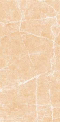 Terre Beige Polished tile, 24x48