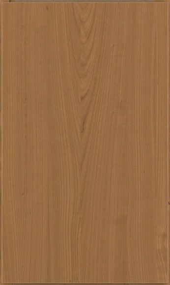 Waypoint 530 cabinet door